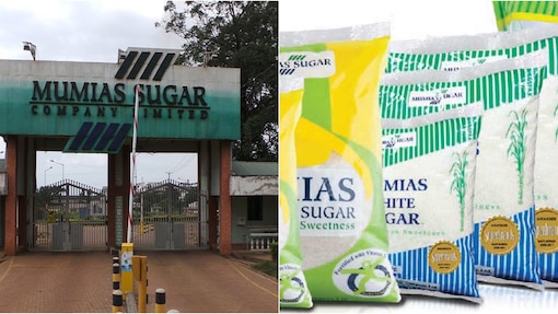 Aruti wira ba kambuni ya Mumias kubutwa ngugi http://bit.ly/2oN2QyM.