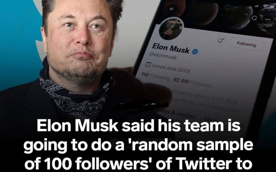 Elon Twitter Buyout on Hold