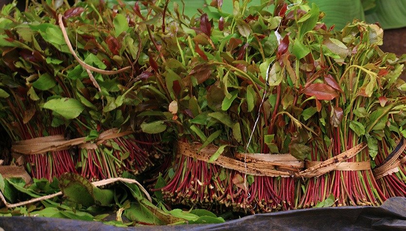 Miraa Market to be opened in two weeks