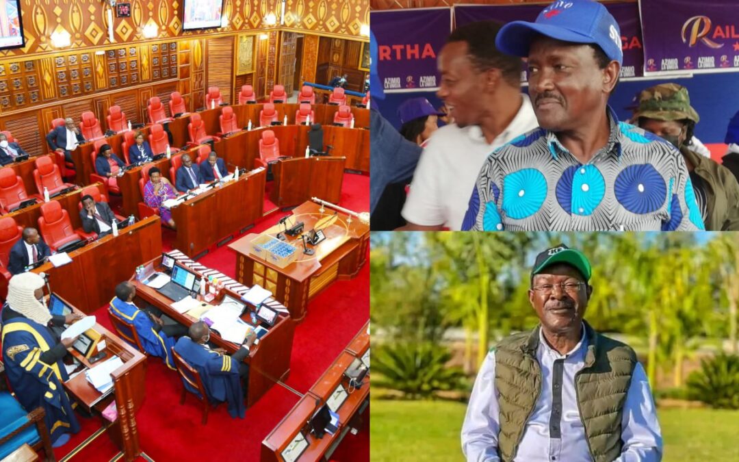Election of speakers in National Assembly and the senate
