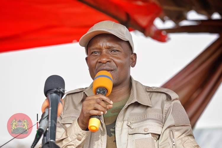 We’ll smoke you out of your hideouts, Kindiki warns cattle rustlers