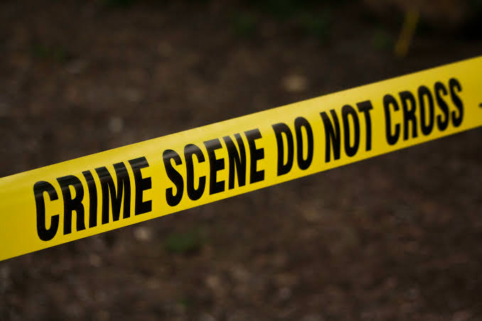 35 year old man attacked after uprooting his father’s avocado tree
