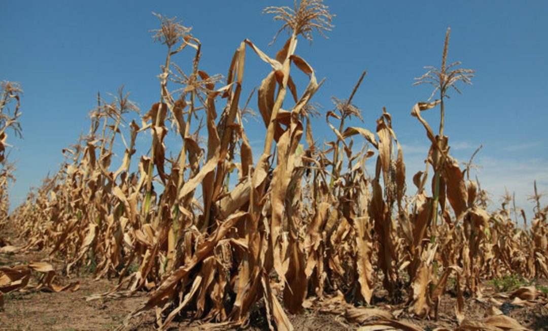 Drought in Tharaka North