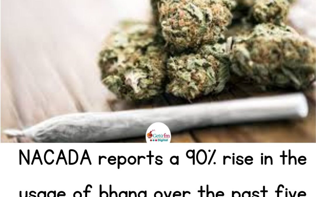 NACADA reports a 90% rise in the usage of bhang over the past five years.