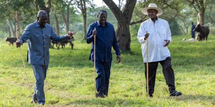 President William Ruto Backs Raila Odinga for African Union Commission Chairperson Role