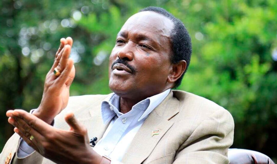 Kalonzo Musyoka Urges Mt Kenya Region to Lead Protests Against Proposed Finance Bill
