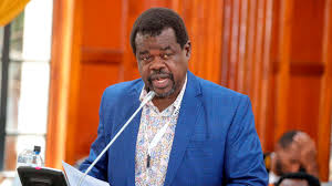 National Assembly Members Call for Dismissal of Finance Bill Lawsuit Filed by Busia Senator Okiya Omtatah.