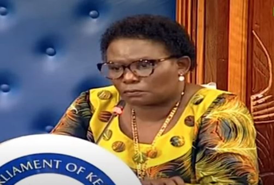 Meru Governor Faces Senate Scrutiny Over County’s Legal Affairs.