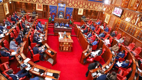 Senate Defends Anti-government Protesters. Calls for Waiver of Hospital Bills and Funeral Expenses for Protest Victims.