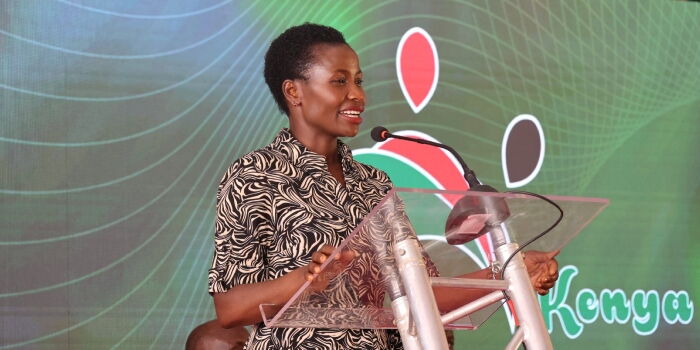 MSMEs Vital to Kenya’s Economy, Says PS Susan Mang’eni.